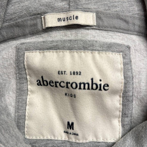 Gray Abercrombie and Fitch hoodie - Picture 3 of 3